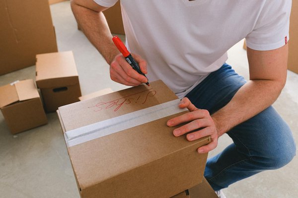 Astuces Écologiques : Transformez Vos Tontes de Gazon en Ressources Utiles